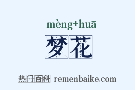 梦花是什么意思的图片